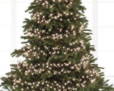 Led Cluster Lights x 2040 Warm White/Green Cable 17m - image 2