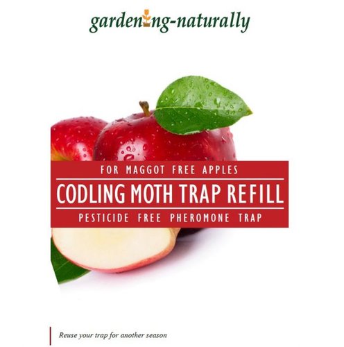 Codling Moth Refill Pack/2 - image 1