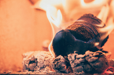 Coffee Logs - image 3