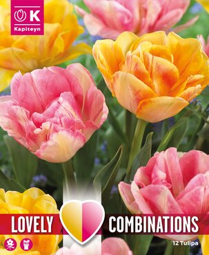 Combi Tulip Duopack Double Orange & Pink x 12