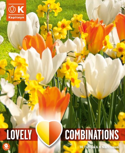 Combi Tulip Orange/White & Narcissus Yellow/Orange x 24