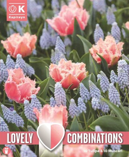 Combi Tulip Pink & Muscari