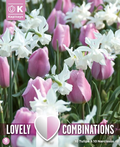 Combi Tulip Pink & Narcissus White