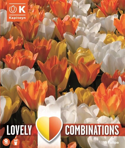 Combi Tulip White Yellow & Orange x 20