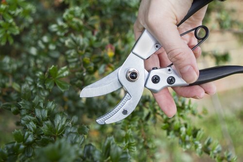 Compact Anvil Pruner - image 2