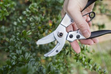 Compact Anvil Pruner - image 2