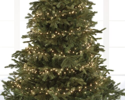 Led Compact Lights x 2000L Warm White/Green Cable - image 2