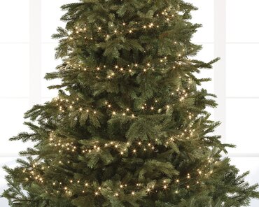 Led Compact Lights x 2000L Warm White/Green Cable - image 2