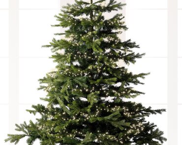 Micro Led Compact x 480 Warm White/Green 600cm - image 2