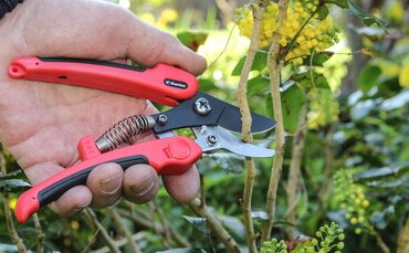Compound Action Pruner - image 2