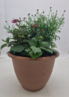 Contemporary Planter 12" - image 1
