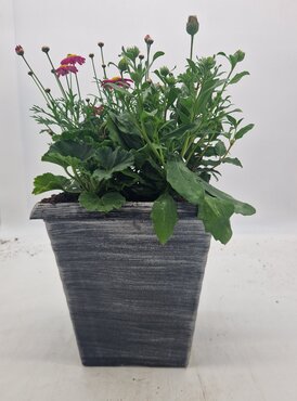 Contemporary Planter 12" - image 2