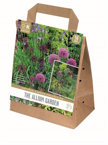 Cottage Garden Allium Garden Collection