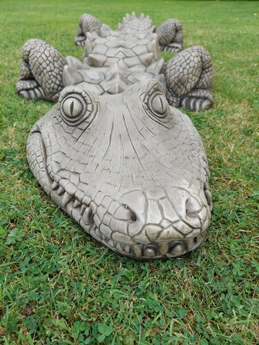 Crocodile 5 Piece - image 1