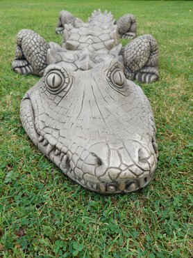 Crocodile 5 Piece - image 1