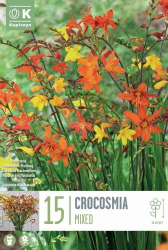 Crocosmia Crocosmiiflora Mixed