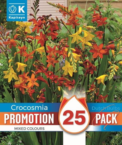 Crocosmia Mix Promo Pack