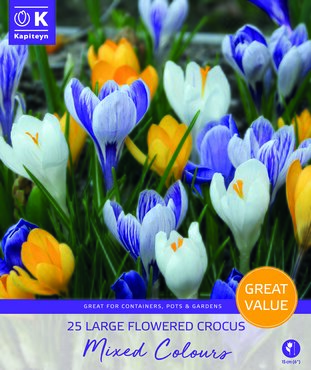 Crocus Large Flowered Mixed Promo Pack