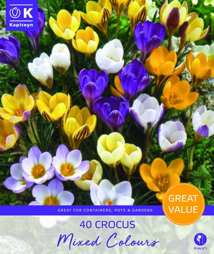 Crocus Species Mixed Promo Pack