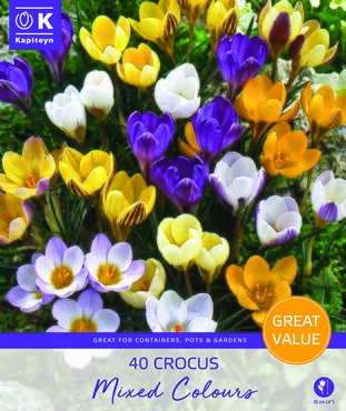Crocus Species Mixed Promo Pack