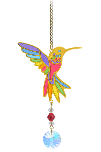 Crystal Dreams Hummingbird Rainbow