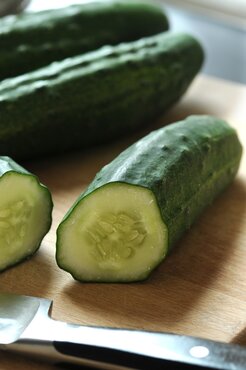 Cucumber Mini 9cm