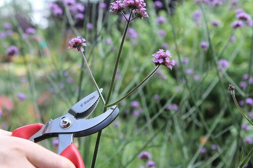 Cut-n-Hold Bypass Pruner - image 2