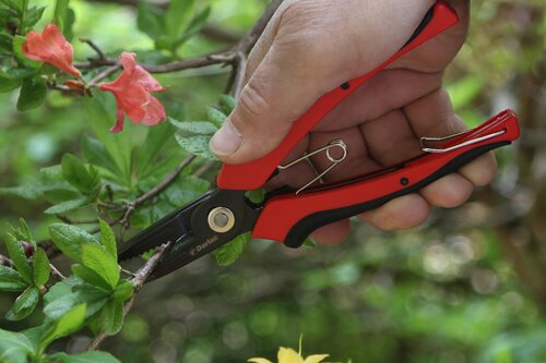 Cut-n-Hold Flower Snip - image 2
