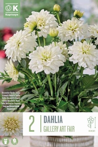 Dahlia Gallery Art Fair