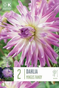 Dahlia Mingus Randy