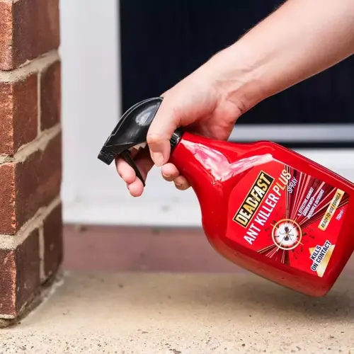 Deadfast Ant Killer + Spray RTU 750ml - image 2