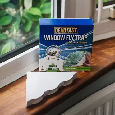 Deadfast Fly Window Trap 4 Pack - image 2