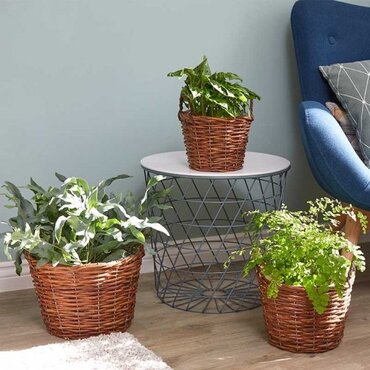 Decor Basket Trio - image 2