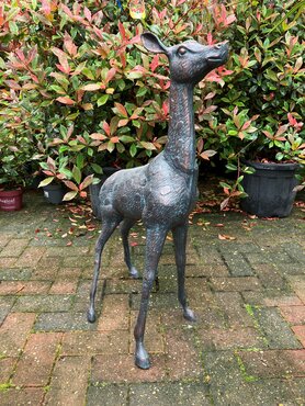 Deer Extra Large Doe
