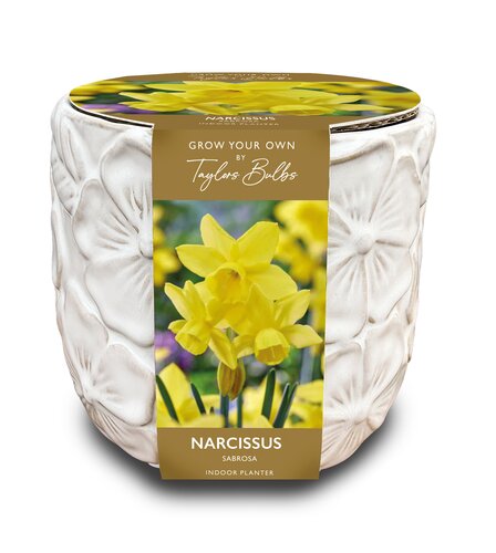 Deluxe Embossed Botanical Planter