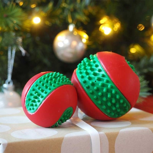 Dental GumBall Large Stewarts Garden Centre