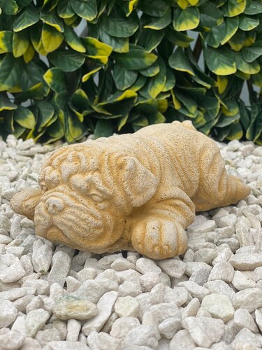 Dog Pug Lying Sandstone