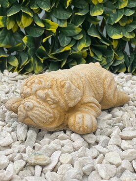 Dog Pug Lying Sandstone