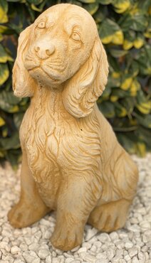 Dog Spaniel Sandstone