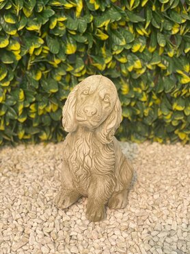 Dog Spaniel Sherwood - image 3