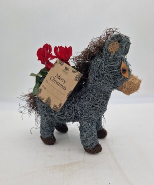 Donkey Planter