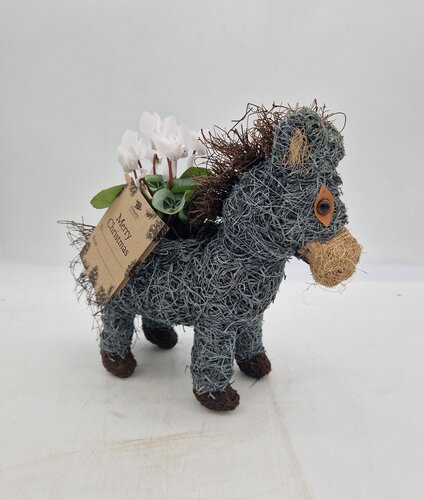 Donkey Planter - image 2