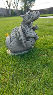 Dragon Hatchling - image 2