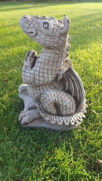 Dragon Wishful - image 2