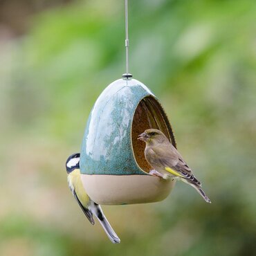NT Vierno Drinker Water Dish - image 2