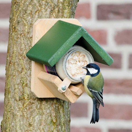 Dublin Peanut Butter Feeder National Trust - image 3