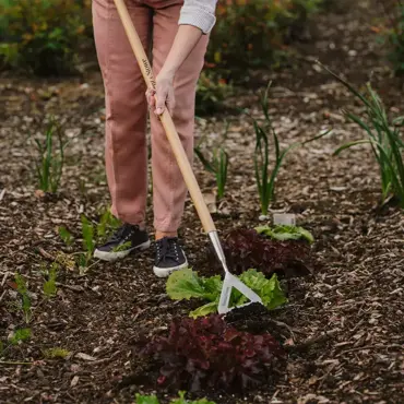 Dutch Hoe Garden Life - image 3