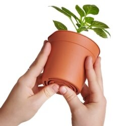 Easy Release Pot 11.6cm 5pack - image 2