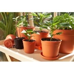 Easy Release Pot 11.6cm 5pack - image 4