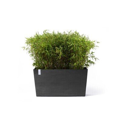 Ecopot Trough Paris 100cm Wheel Charcoal